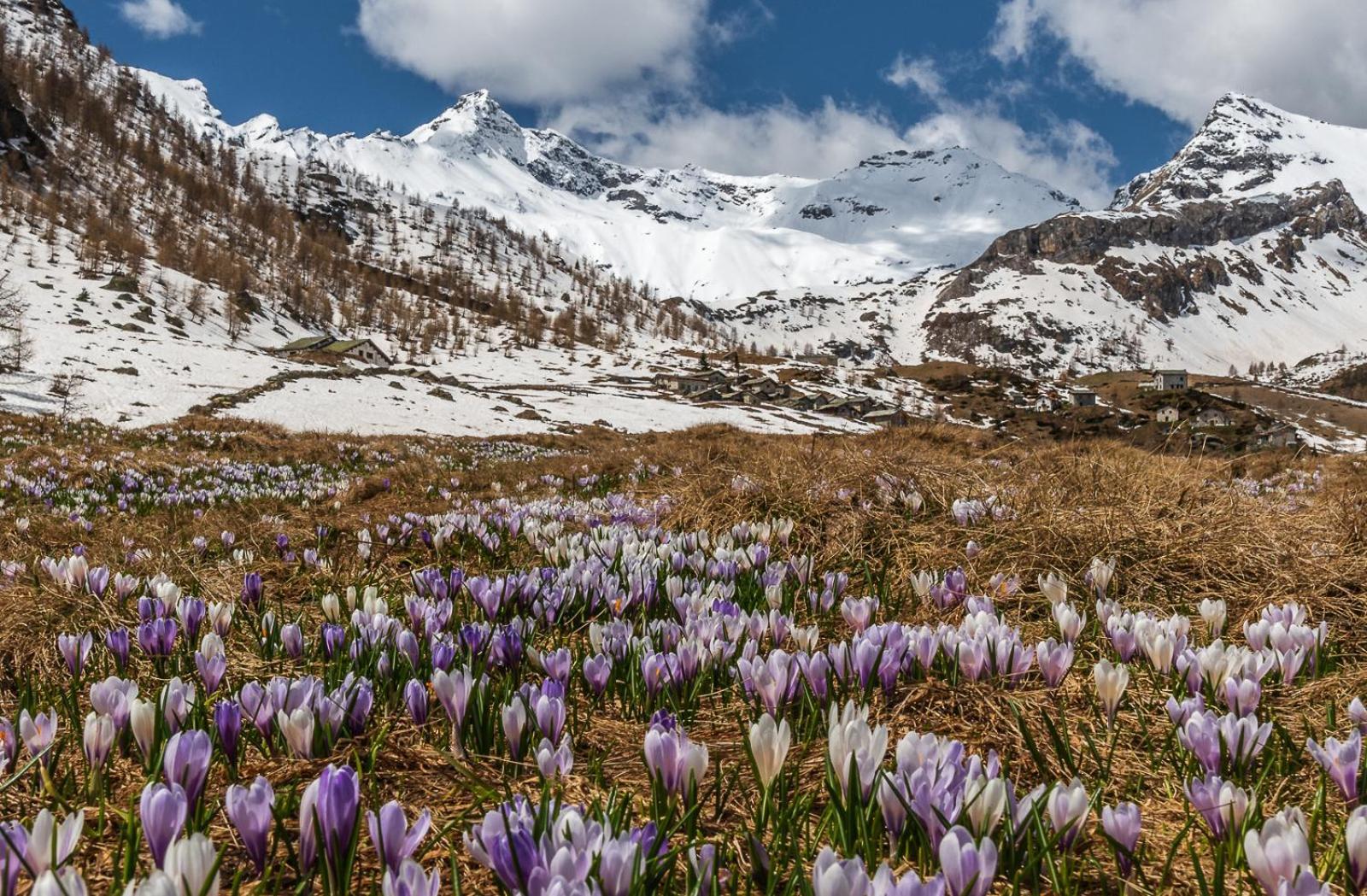 Belcolle, Il Bello Della Tranquillita Chiavenna Eksteriør bilde